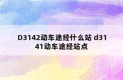 D3142动车途经什么站 d3141动车途经站点